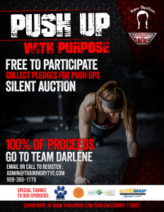 Pushup Fundraiser